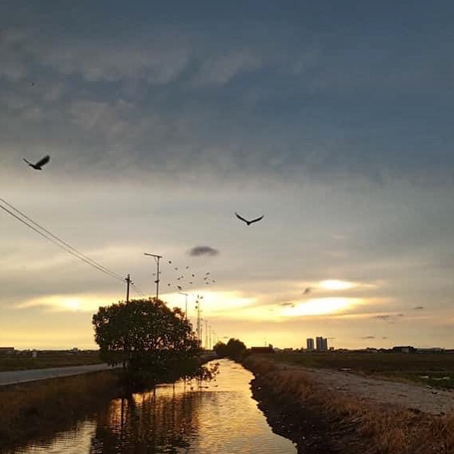 Sekinchan, Selangor –&nbsp;Sunsetting